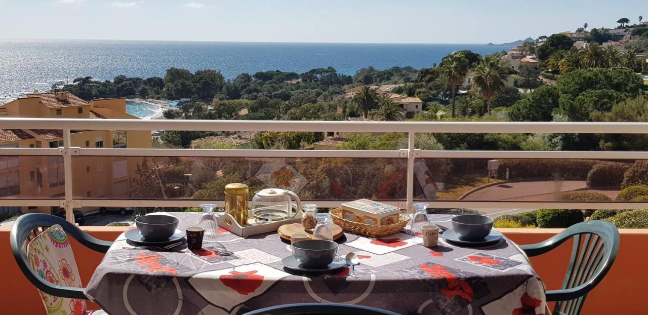 T1 Vue Mer Bord De Mer Ajaccio Ajaccio  Zewnętrze zdjęcie