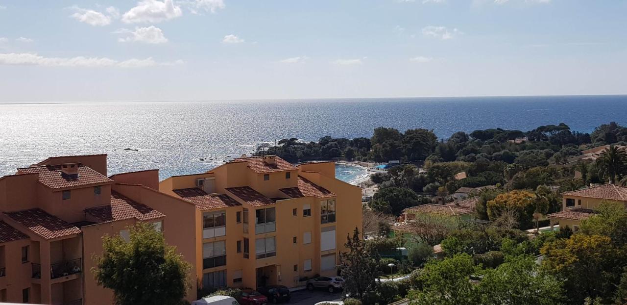T1 Vue Mer Bord De Mer Ajaccio Ajaccio  Zewnętrze zdjęcie
