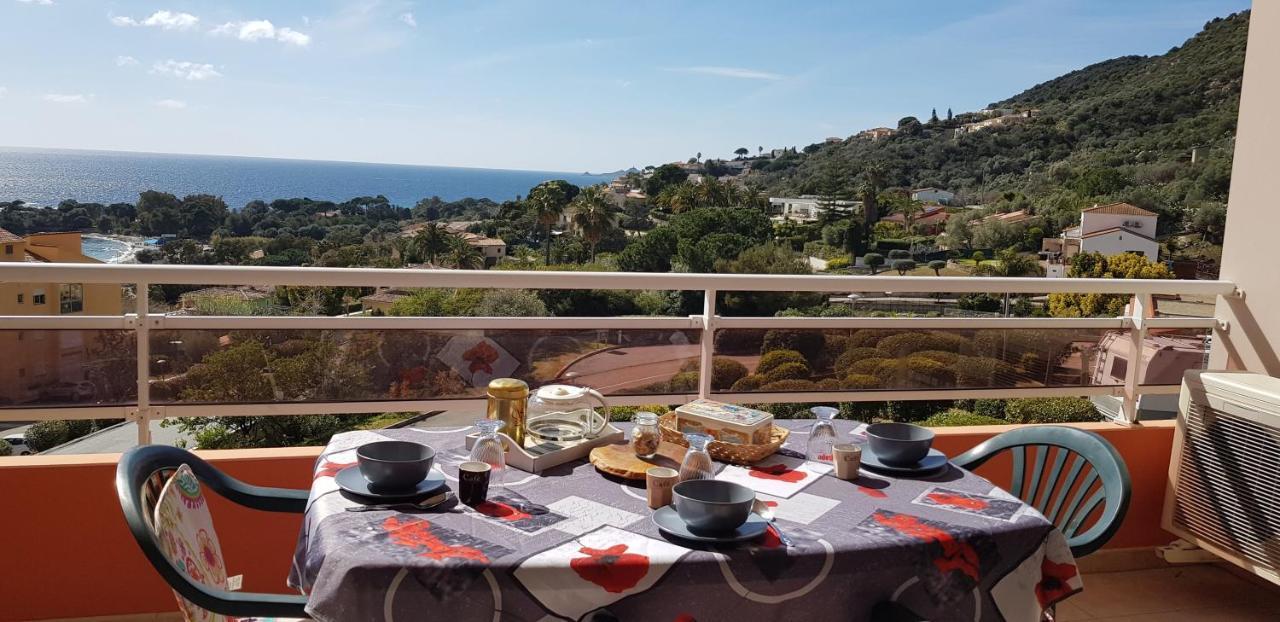 T1 Vue Mer Bord De Mer Ajaccio Ajaccio  Zewnętrze zdjęcie